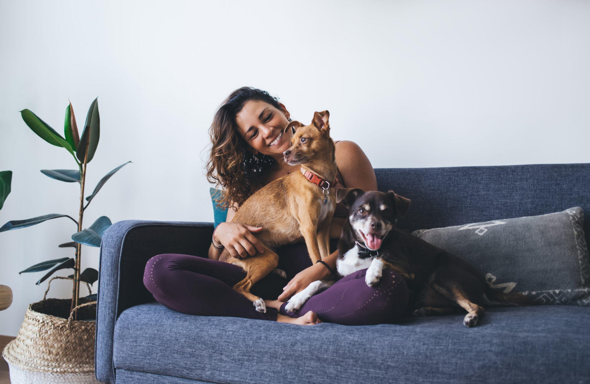 Young woman with two dogs on the couch